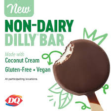 TRIED AND TRUE- WORST AND BEST DAIRY FREE ICE CREAM